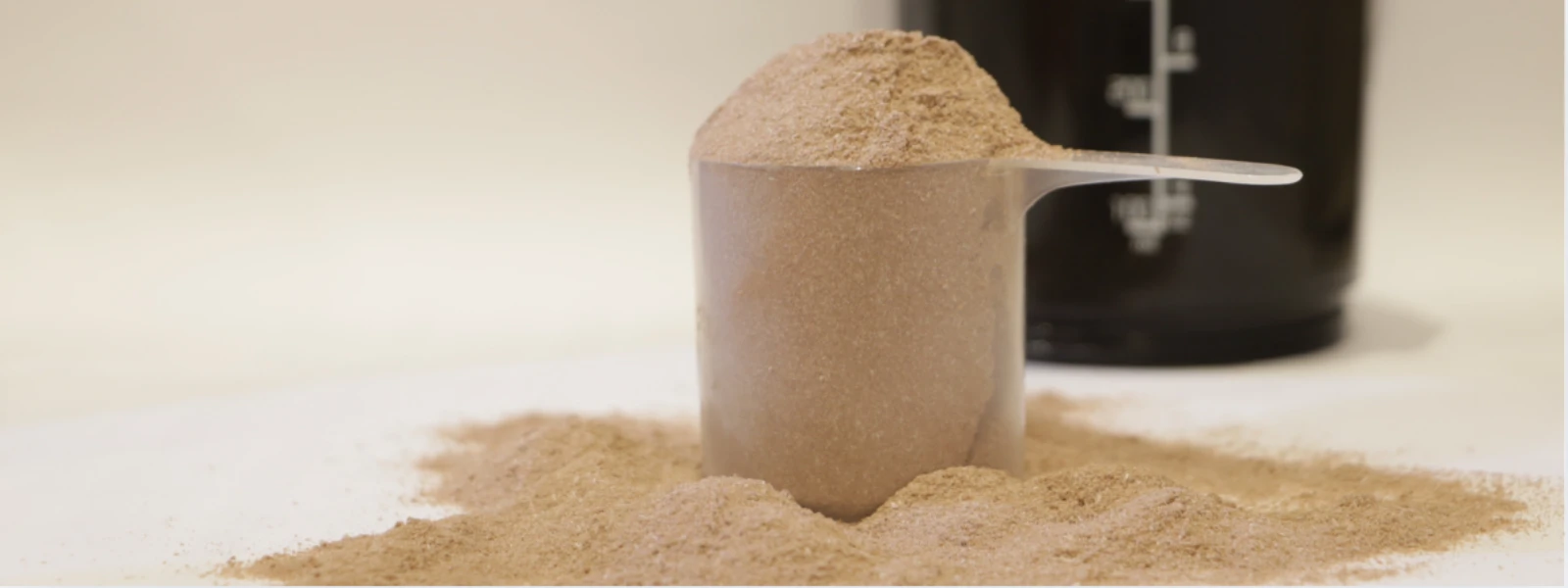 Plant vs Whey: Protein Results Timeline Compared