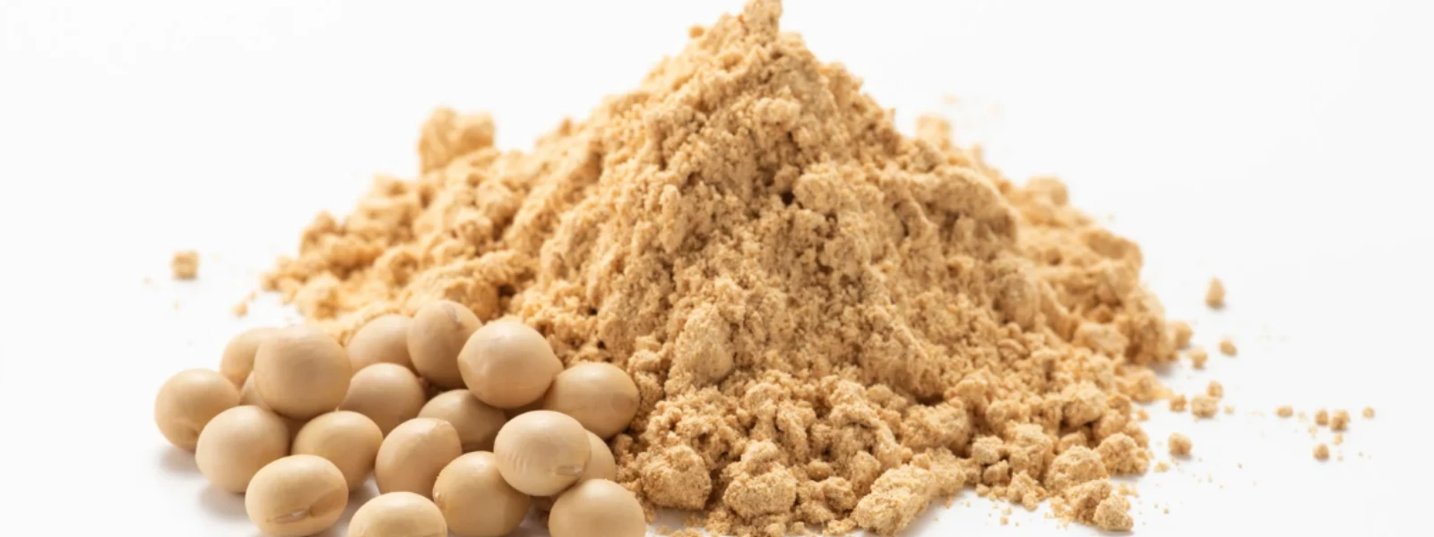 The Essential Checklist for Choosing the Best Soy Protein Powder