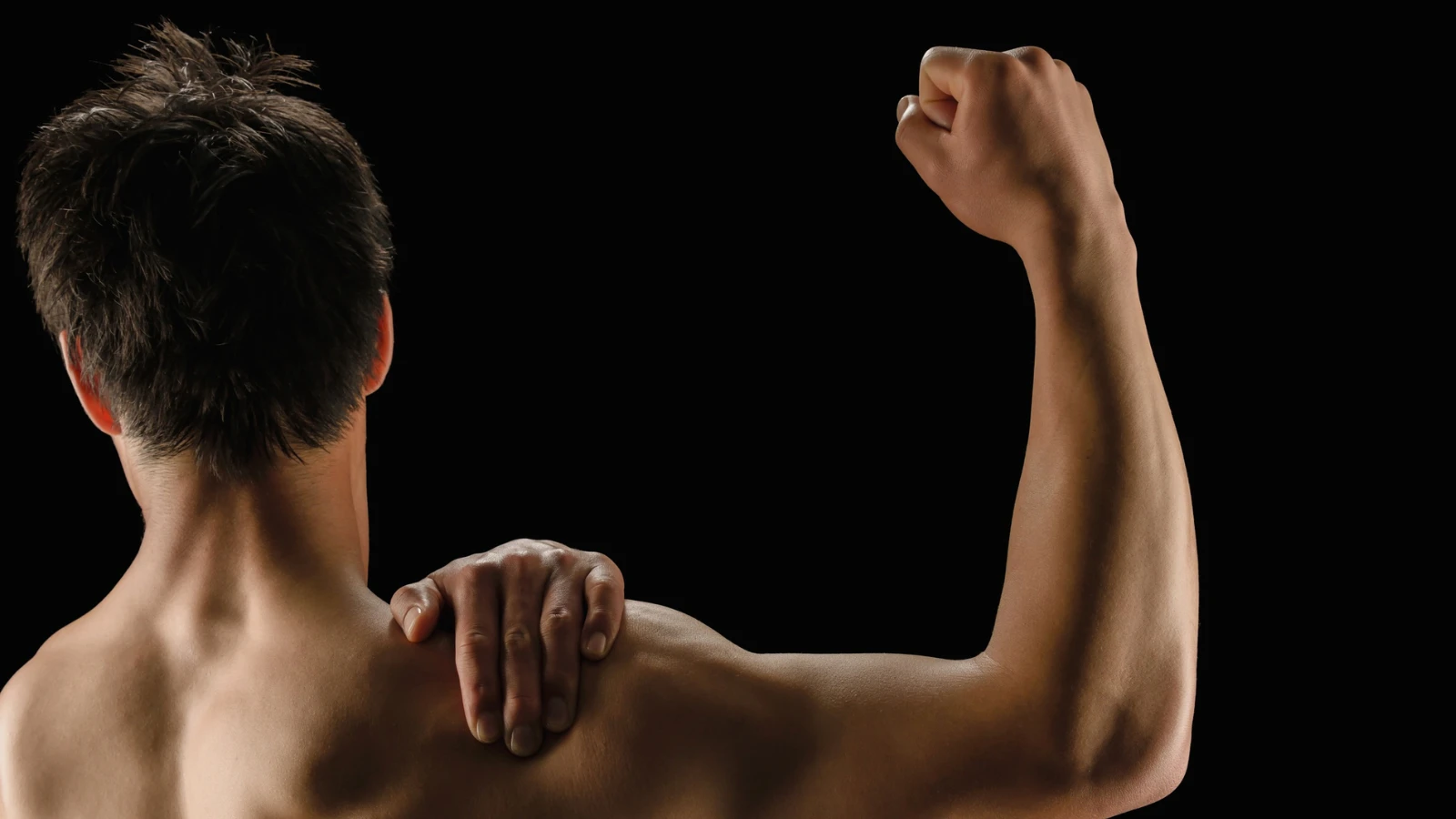 Optimum Whey Protein for Muscle Building