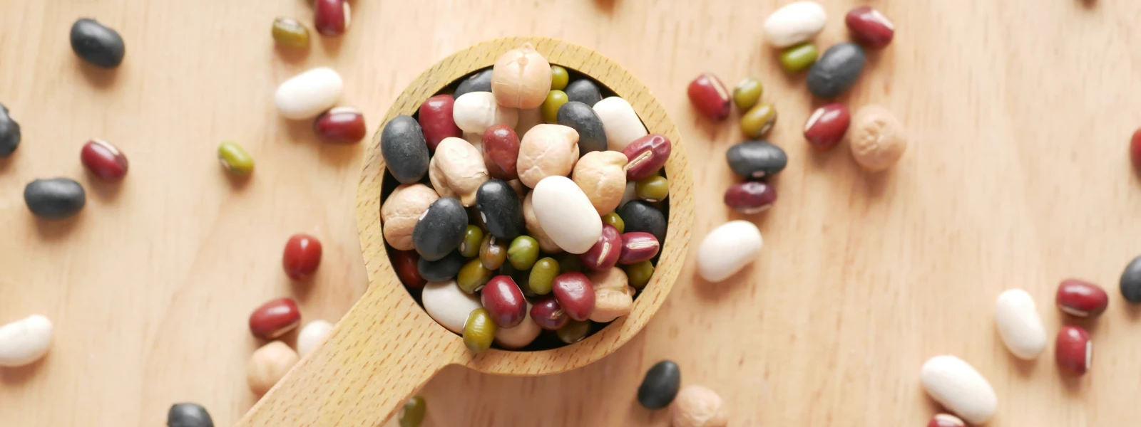 The Ultimate Guide to Whey Protein Ingredients for Optimal Nutrition