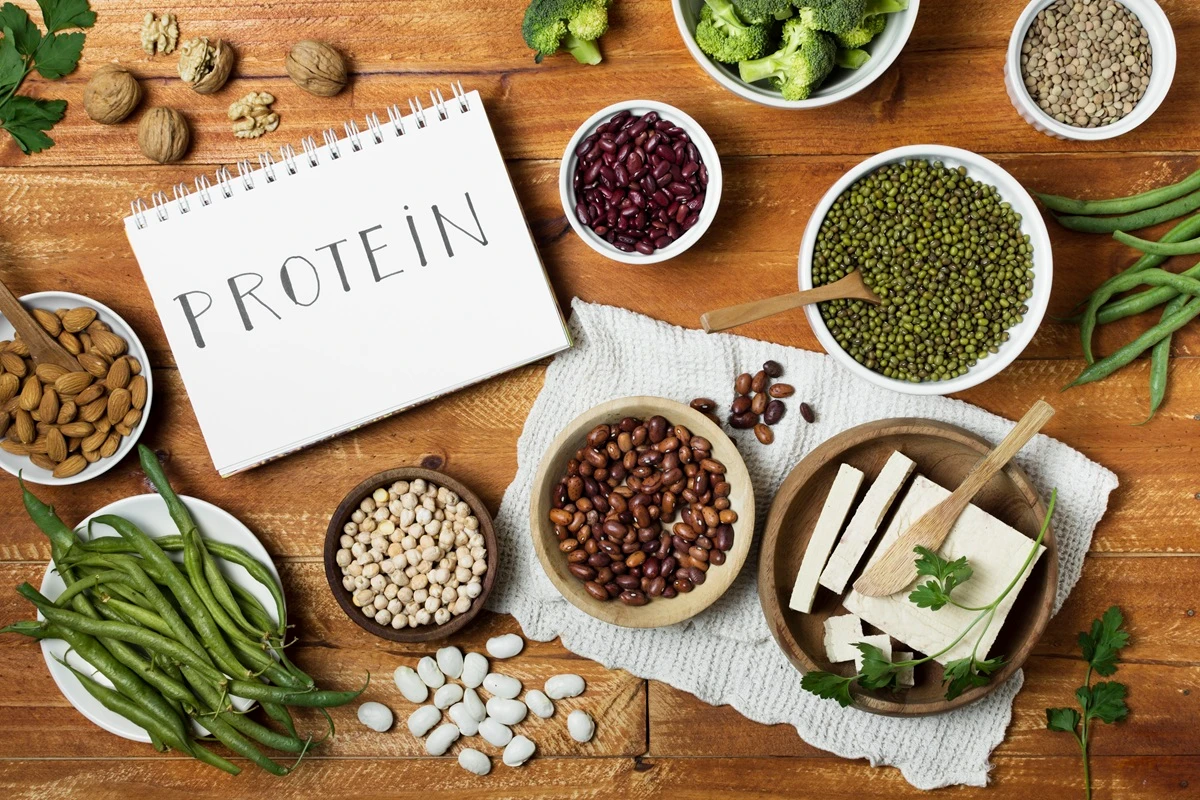 How to Choose the Best Plant-Based Protein Powder