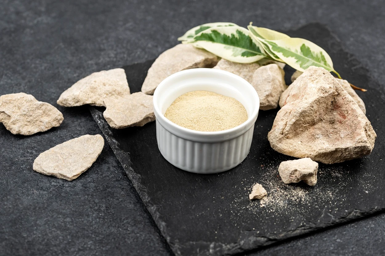 What is Fermented Yeast Protein and Its Benefits?