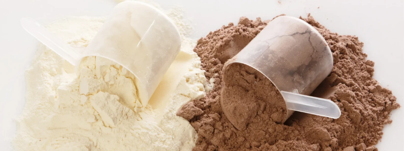 Vegan vs Whey: Protein Powder for Immune Health