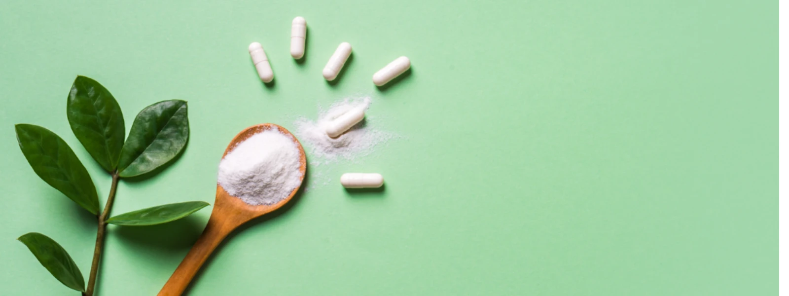 Which Collagen Supplement Is Best? FAQ