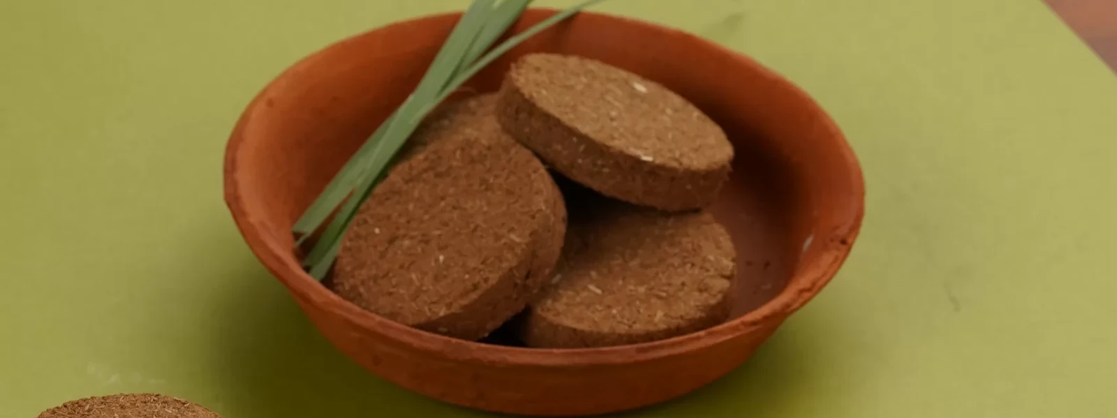 7 Powerful Reasons to Choose Panchgavya Products