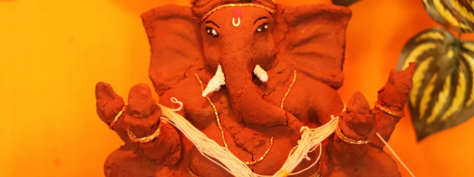 Eco Friendly Product Line: Your Complete Guide