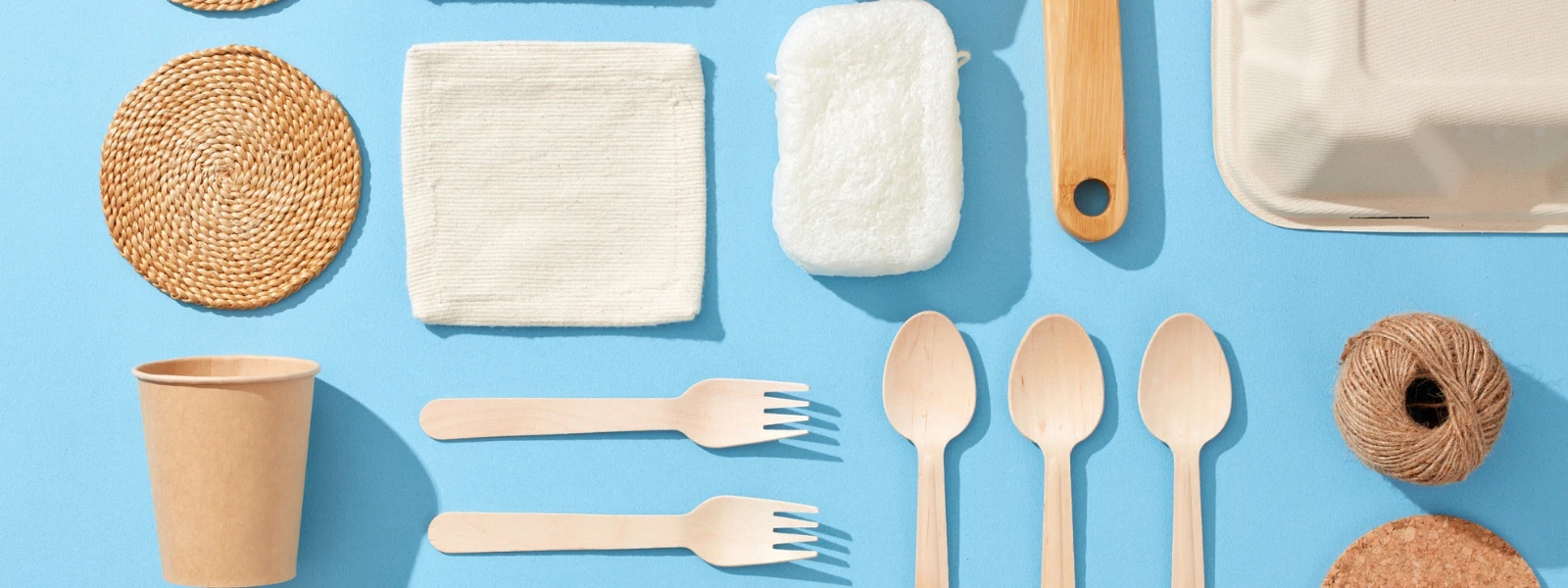 Everything You Need to Know About Eco Friendly Home Kits