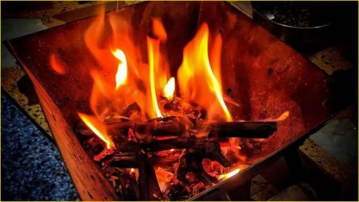 Discover the Best Havan Products