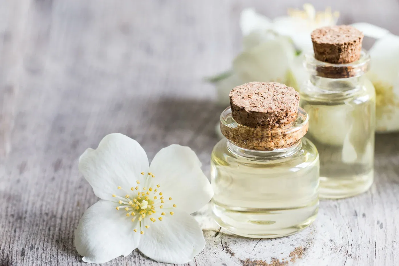 Pure Jasmine Oil - Natural Beauty Elixir